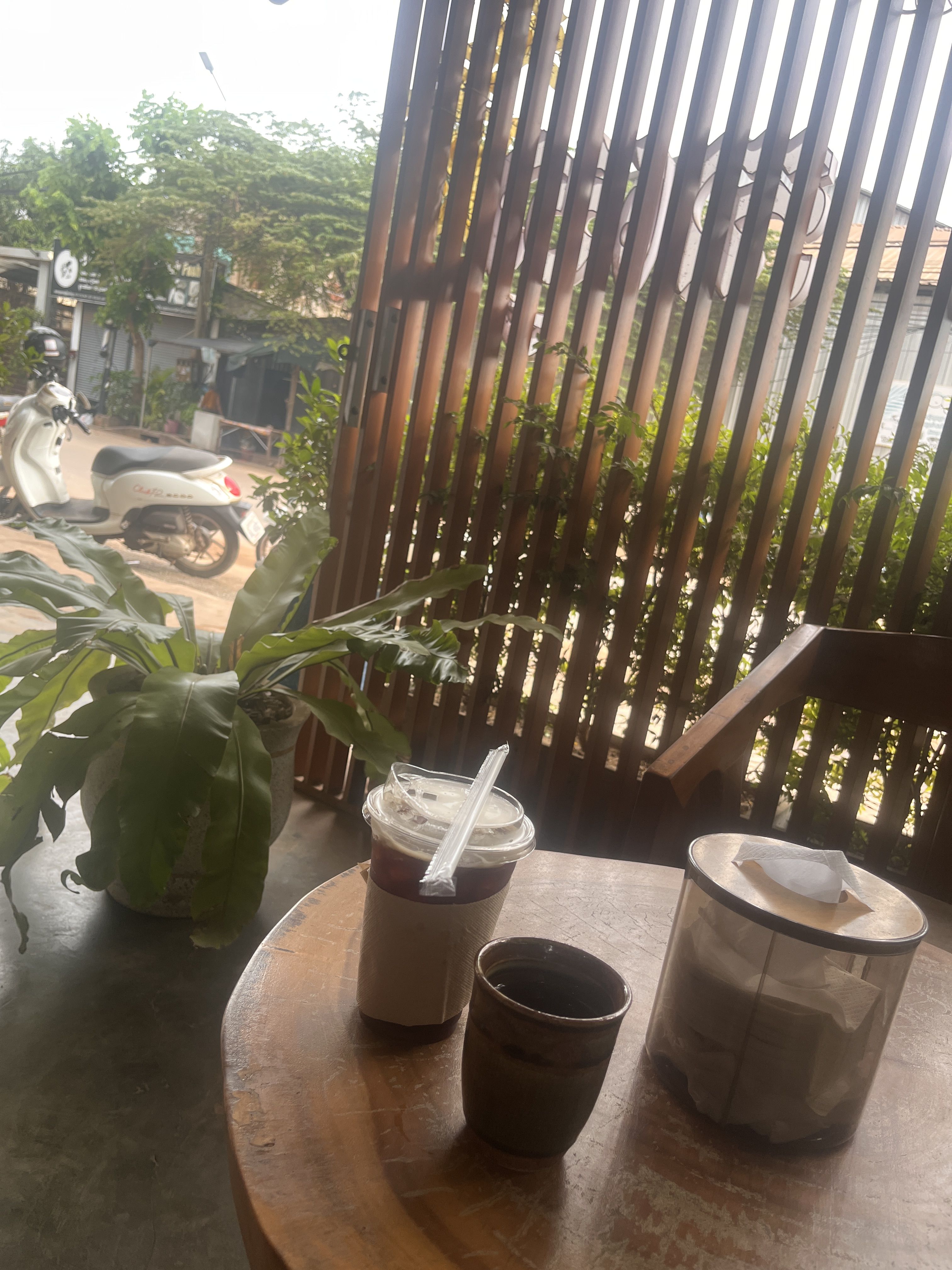 coffee bean